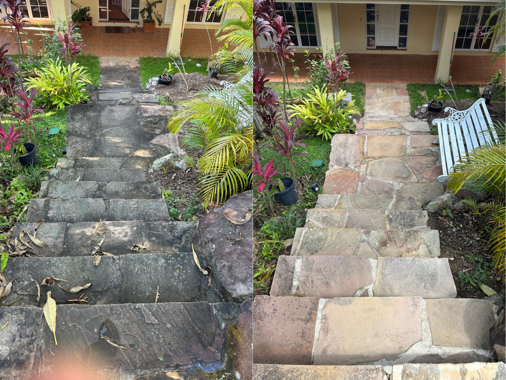 Why Choose Blast It Pressure Cleaning