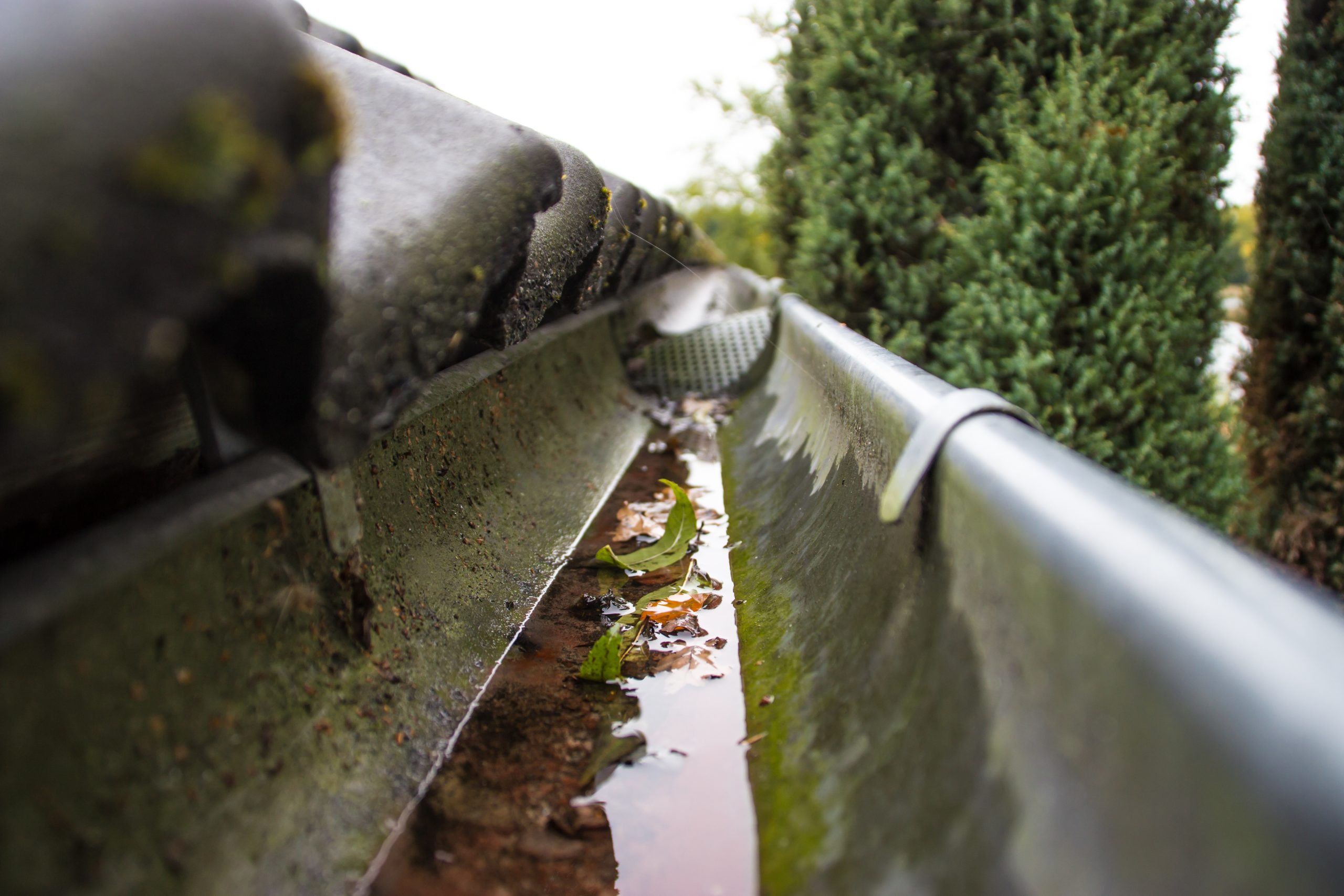 Gutter Cleans