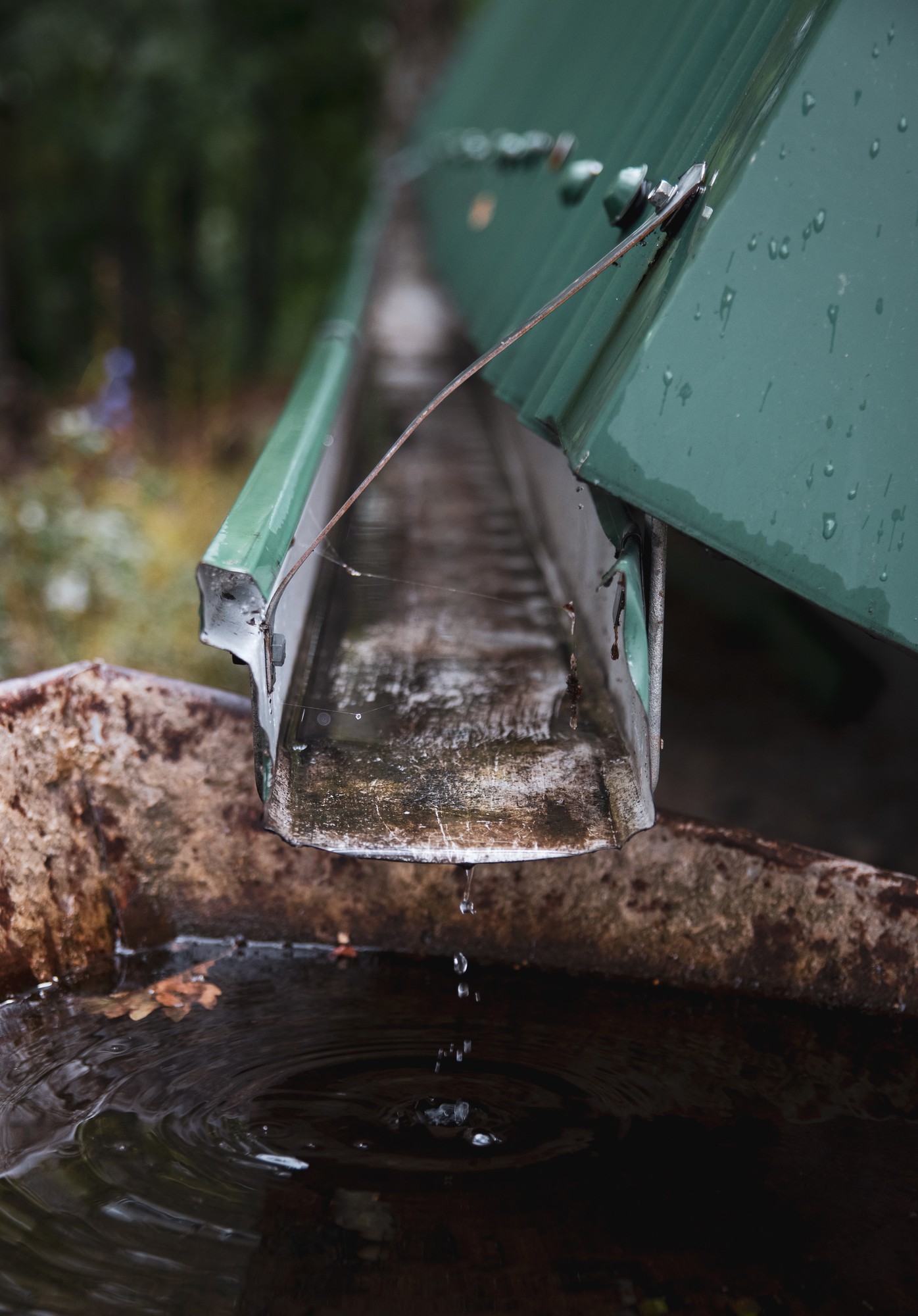 Gutter Cleaning